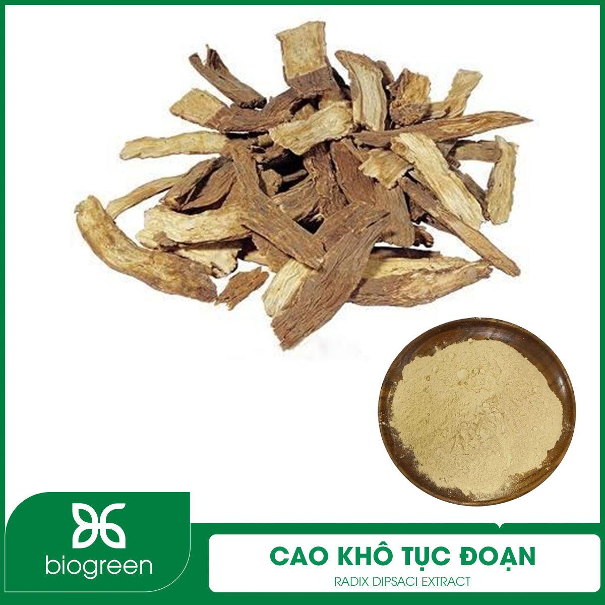 Tục đoạn dược liệu là gì?